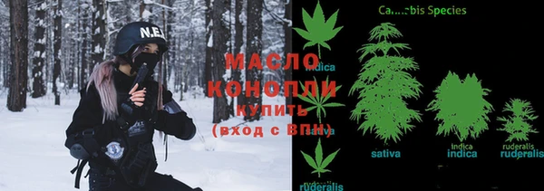 индика Богданович