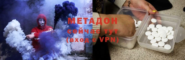 индика Богданович