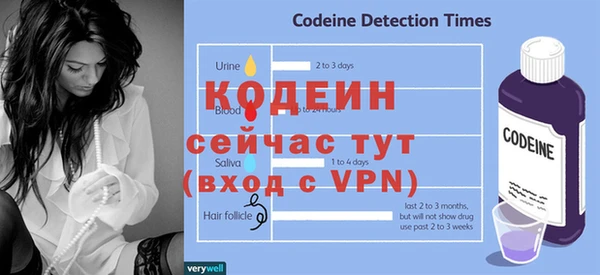 индика Богданович