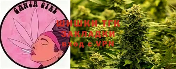 тгк Бронницы