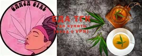 индика Богданович