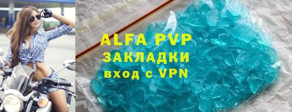 индика Богданович