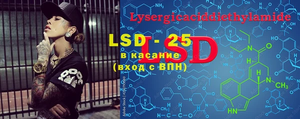 индика Богданович