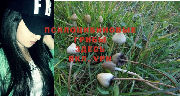 мдма Богородицк