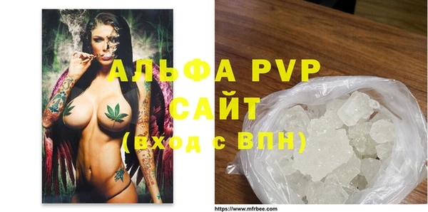 индика Богданович