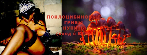spice Билибино