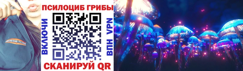 Псилоцибиновые грибы MAGIC MUSHROOMS  как найти наркотики  MEGA ССЫЛКА  Дигора 